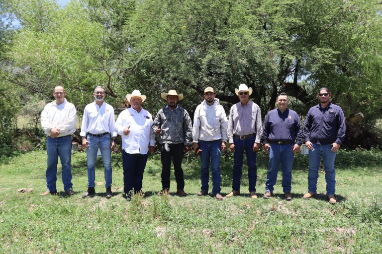 IMPULSAN PROGRAMA APÍCOLA EN LA SIERRA DE SONORA